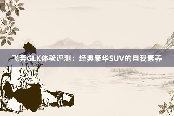 飞奔GLK体验评测：经典豪华SUV的自我素养